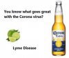 CORONA-VIRUS.jpg