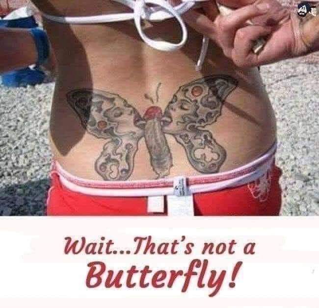 No butterfly.jpg